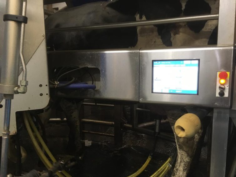 4x DeLaval Melkroboter, Melkanlage, Baujahr 2014 zu verkaufen